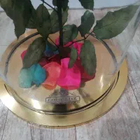 گل مصنوعی زیبا و شیک|گل مصنوعی|چهارباغ, |دیوار