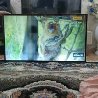 تلوزیون ۶۵ اینچ