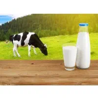 کارگر ساده خانم در لبنیاتی