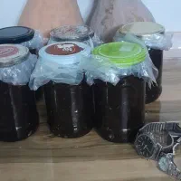رب آلوچه محلی|خوردنی و آشامیدنی|تهران, جمال‌زاده|دیوار