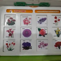 بازی فکری|اسباببازی|تهران, وحیدیه|دیوار