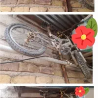 دوچرخه درحدنو