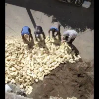 کارهای روز مزد وکنترات هستببم اساس کشی