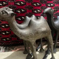 علم وعلامت