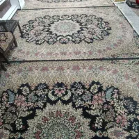 5عدد فرش هم‌گل 12 متری|فرش|جیرفت, |دیوار