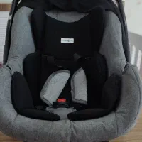 کریر|کالسکه و لوازم جانبی|کرج, باغستان|دیوار