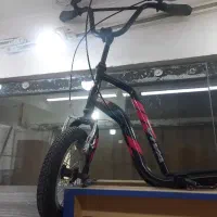 دوچرخه حرفه ای