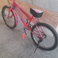 دوچرخه بیست سالم
