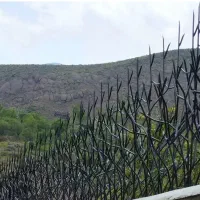 جوشکاری سیار
