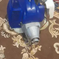 علف زن درحد صفر فروش فوری