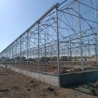 نیروساده|استخدام صنعتی، فنی، مهندسی|ملایر, |دیوار