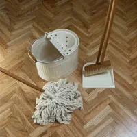 نیرو خانم برای انجام کارهای منزل