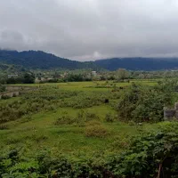 فروش زمین ۶۸۰ متری ماکلوان کد ۳۲|فروش زمین و ملک کلنگی|ماکلوان, |دیوار