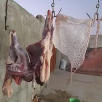 قصابی ماهر|استخدام خدمات فروشگاه و رستوران|خرم‌آباد, |دیوار