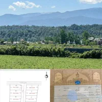 زمین-داخل-بافت-ویوایدی-جنگل-سندششدانگ