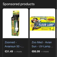 استند لامپ طوطی