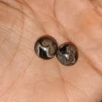 ۳ جفت مهره سلیمانی قدیمی