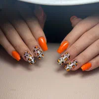 آموزش ناخن و کاشت و ترمیم ناخن|خدمات آرایشگری و زیبایی|قدس, شهرقدس|دیوار