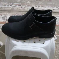 کفش مردانه