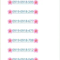 0919-0918-595
