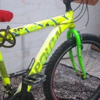 دوچرخ فروشی|دوچرخه، اسکیت، اسکوتر|یزد, |دیوار