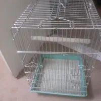 ِیک عدد قفس کاسکو