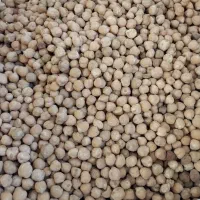 نخود خوراکی