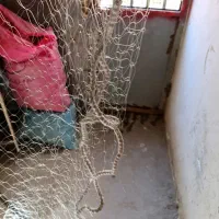 تور ماهیگیری 30 متری|ماهیگیری|دورود, |دیوار