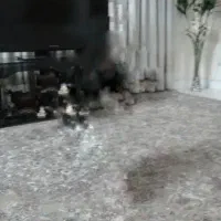 پرده پارچه ترک|پرده، رانر، رومیزی|مشهد, موسوی قوچانی|دیوار