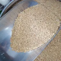 گندم کیسه ای53|لوازم جانبی حیوانات|قم, وادی السلام|دیوار