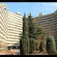 نظافتچی خانم