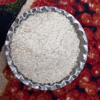 برنج محلی طارم هاشمی