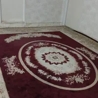 جفت فرش لاکی ۵۰۰ شونه نرم و جون دار