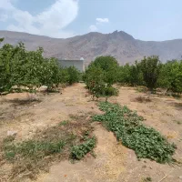 باغ شهری|فروش زمین و ملک کلنگی|سیدان, |دیوار