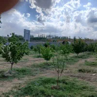 باغ|فروش دفتر صنعتی، کشاورزی، تجاری|خواجه, |دیوار