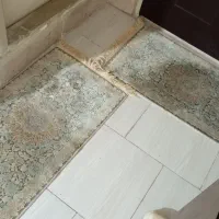 فرش دستبافت وغیره|فرش|رودهن, |دیوار