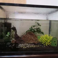 آکواریوم شیشه خم ۶۰ لیتری