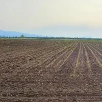 60ساعت آب چاه عمیق با زمین در حاشیه جاده