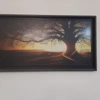 تابلو ام دی اف سالم در حدنو