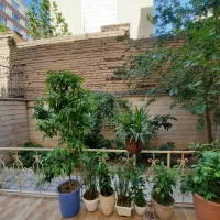 فروش-کلنگی-164متر-بر-11-50-گذر-8-بافت-فرسوده