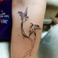 تتو بدن|خدمات آرایشگری و زیبایی|مشهد, نرگس (شهرک غرب)|دیوار