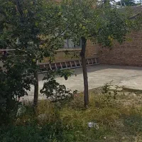 زمین کلنگی داخل شهر