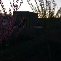 باغ 1000 متری با اب در شکرک|فروش خانه و ویلا|ابهر, |دیوار