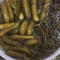 خیار شور ریز و قلمی خانگی|خوردنی و آشامیدنی|اصفهان, طامه|دیوار