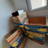 فروش کارتن موز