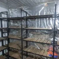 قفسه /   تخفیف بدلیل مهاجرت