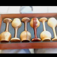 همراه و همکار داوطلب برای طرح آموزشی و انگیزشی