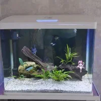 آکواریوم شیشه خم