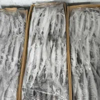 ماهی چنگو تازه