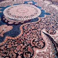 قالی ۱۲متری